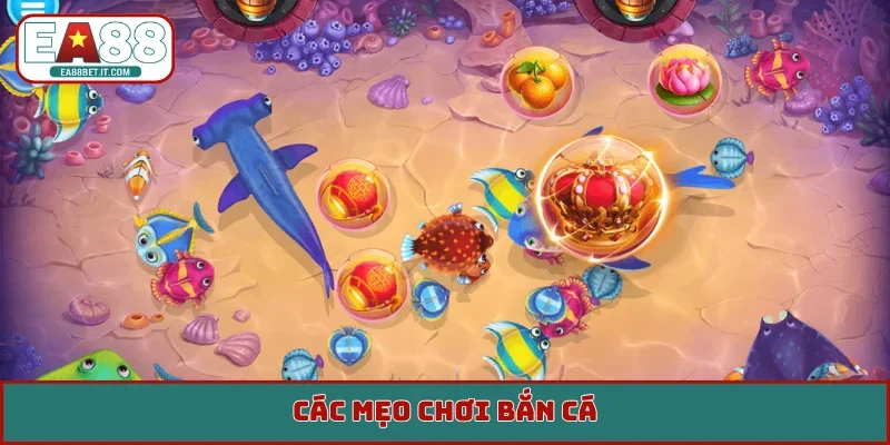Mẹo chơi bắn cá