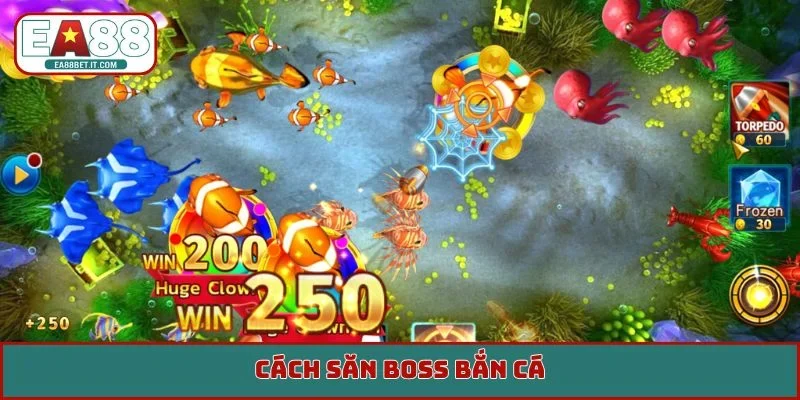 Cách săn boss bắn cá