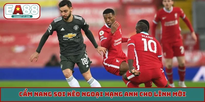 Cẩm nang soi kèo Ngoại Hạng Anh cho lính mới