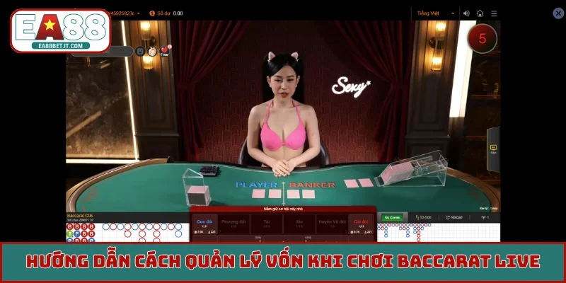 Cách quản lý vốn khi chơi Baccarat Live